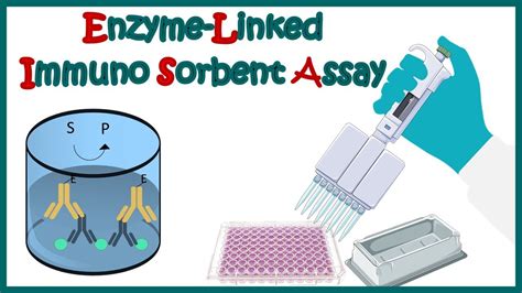 elisa assay youtube|types of elisa assays.